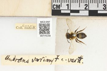 Media type: image;   Entomology 774138 Aspect: Labels